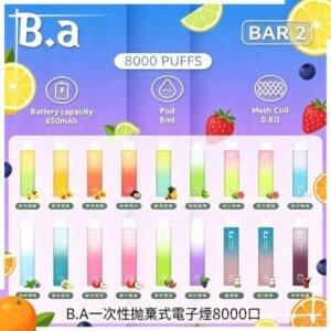 B.A一次性抛棄式電子煙8000口